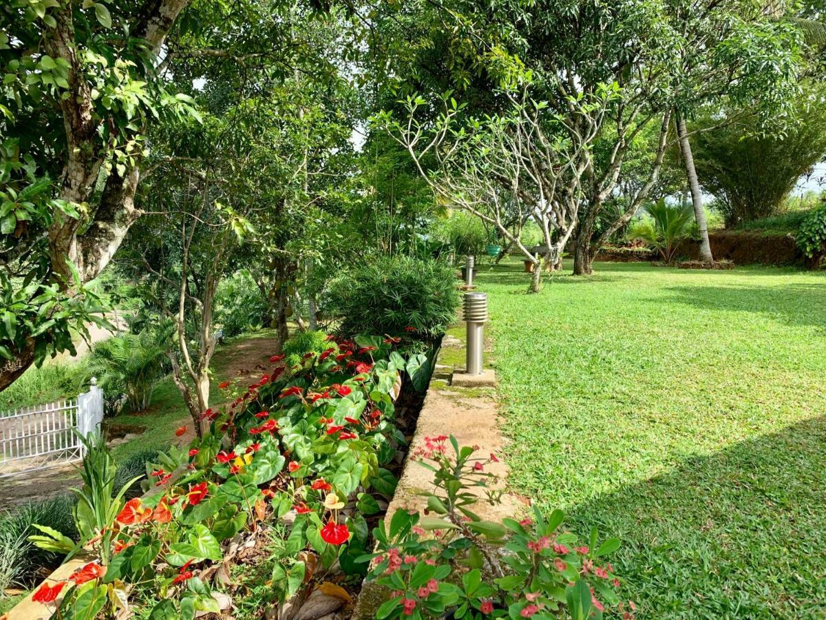 Amandari Holiday Villa Gelioya Buitenkant foto