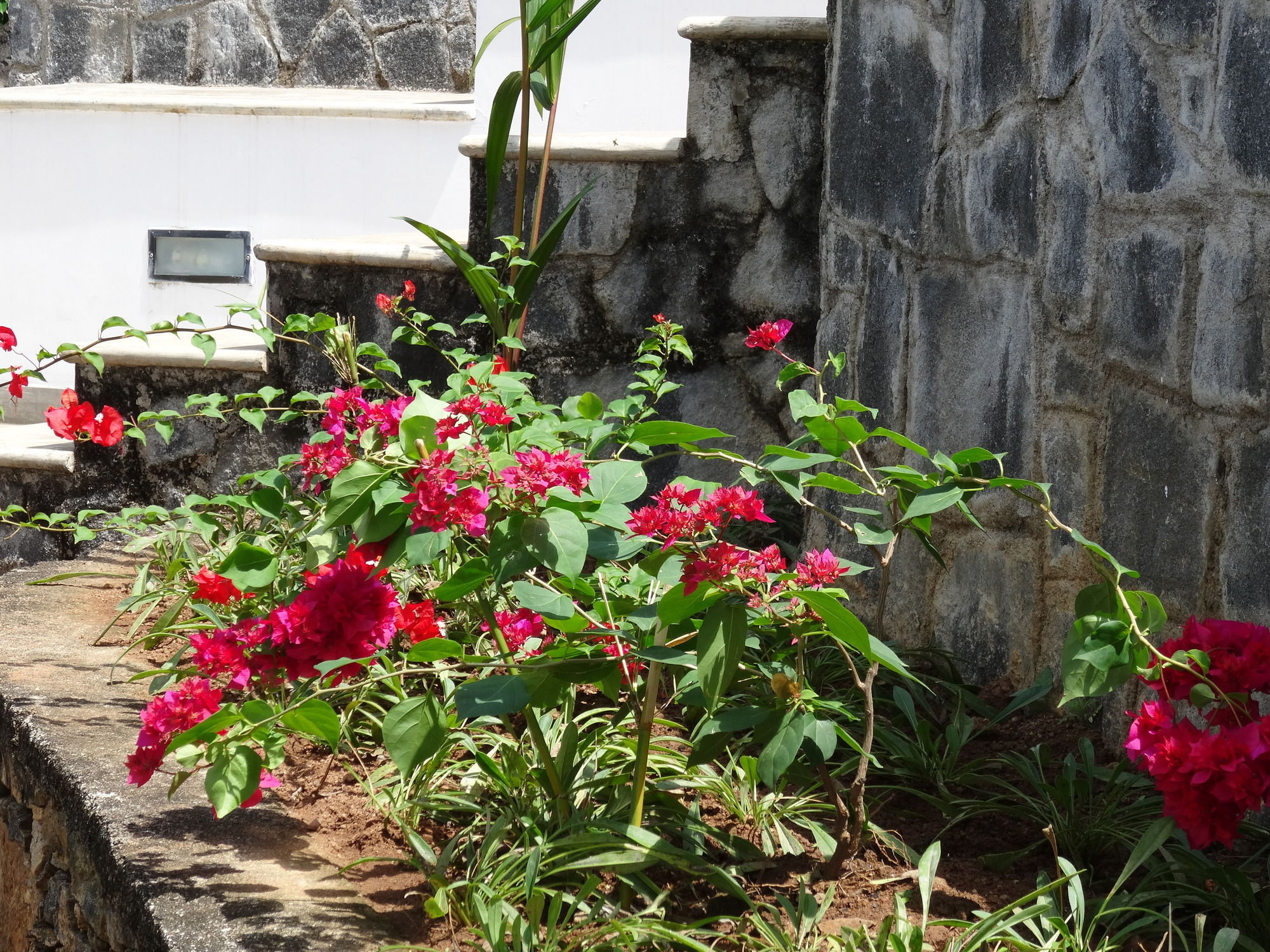 Amandari Holiday Villa Gelioya Buitenkant foto